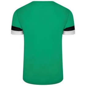 Puma teamRise Jersey Pepper Green/Black/White