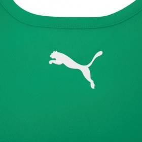 Puma teamRise Jersey Pepper Green/Black/White