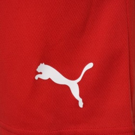 Puma teamRise Shorts Red