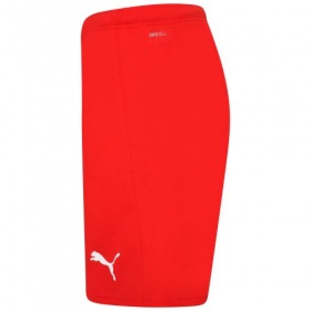 Puma teamRise Shorts Red