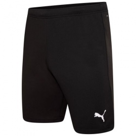 Puma teamRise Shorts Black