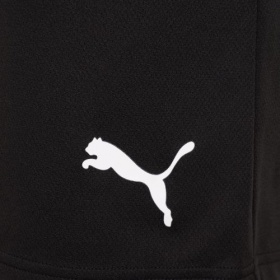 Puma teamRise Shorts Black