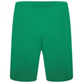 Puma teamRise Shorts Pepper Green