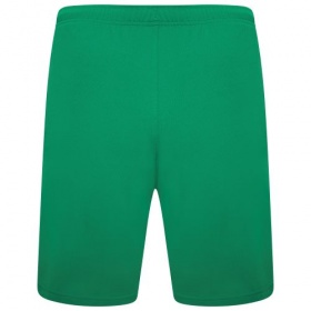 Puma teamRise Shorts Pepper Green