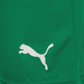 Puma teamRise Shorts Pepper Green