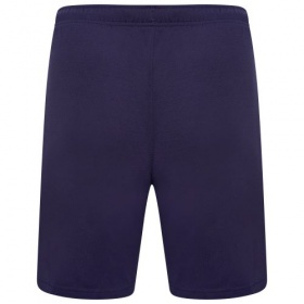Puma teamRise Shorts Peacoat Navy