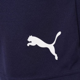 Puma teamRise Shorts Peacoat Navy