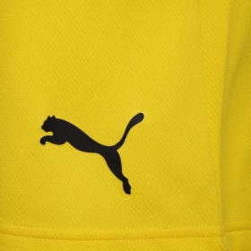 Puma teamRise Shorts Cyber Yellow