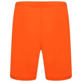 Puma teamRise Shorts Golden Poppy (Orange)