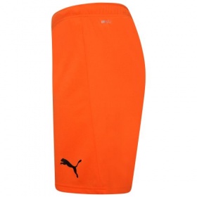 Puma teamRise Shorts Golden Poppy (Orange)