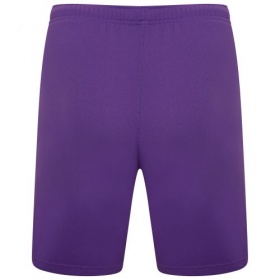 Puma teamRise Shorts Prism Violet