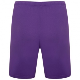 Puma teamRise Shorts Prism Violet