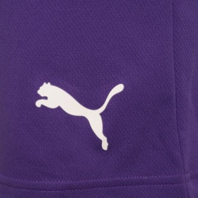 Puma teamRise Shorts Prism Violet