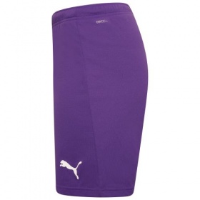 Puma teamRise Shorts Prism Violet