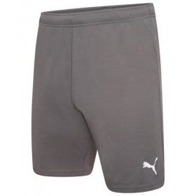 Puma teamRise Shorts Smoked Pearl