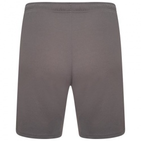 Puma teamRise Shorts Smoked Pearl