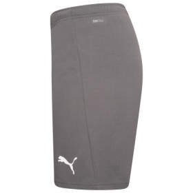 Puma teamRise Shorts Smoked Pearl