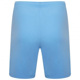 Puma teamRise Shorts Light Blue