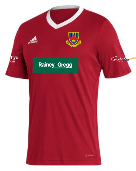Ballymena Cricket Club Adidas Entrada 22 Training Jersey Red