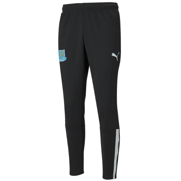 Ballymena United Youth Academy Puma Team Liga 25 Training Pants