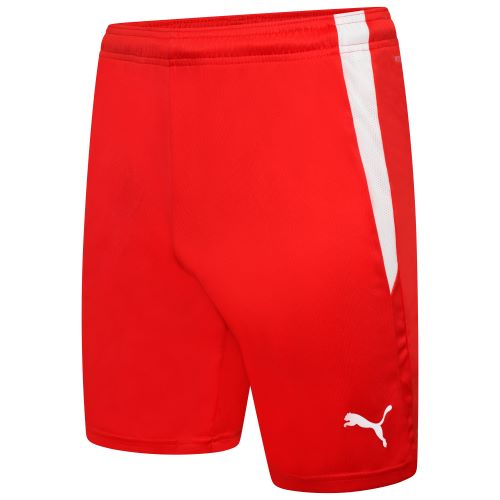 Puma teamLiga Shorts Red/White