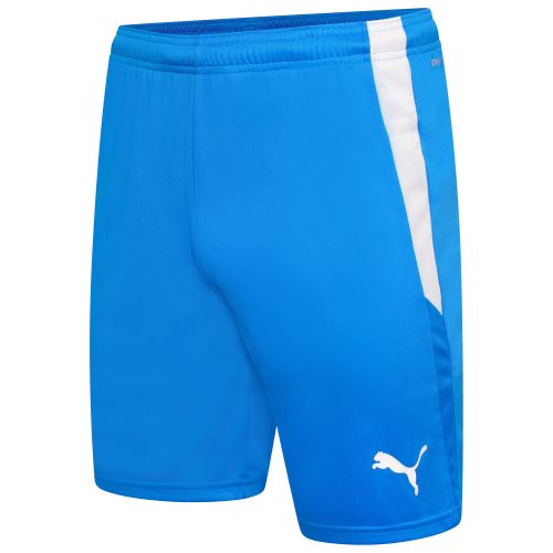 Puma teamLiga Shorts Red/White