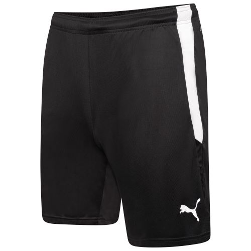 Puma teamLiga Shorts Black/White