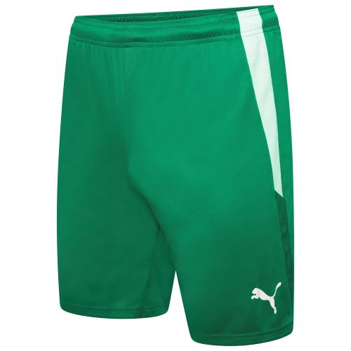 Puma teamLiga Shorts Pepper Green/White