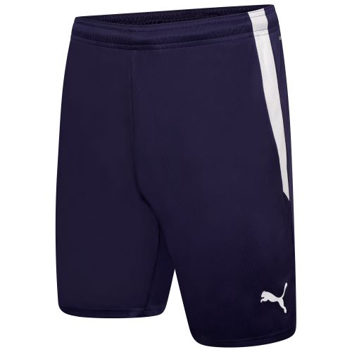 Puma teamLiga Shorts Navy/White