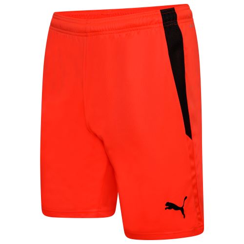 Puma teamLiga Shorts  NRGY Red/Black