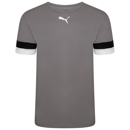 Puma teamRise Jersey Smoked Pearl/Black/White