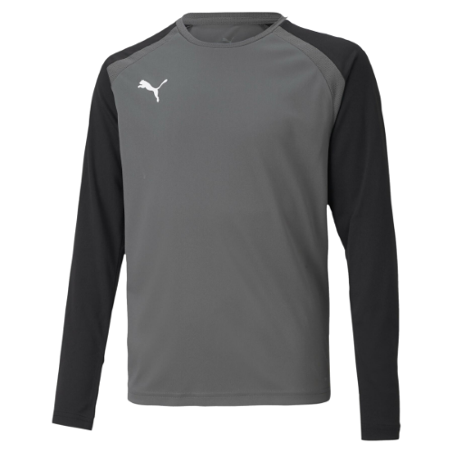 Puma Team Pacer GK Jersey - Smoked Pearl/Black