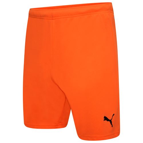 Puma teamRise Shorts Golden Poppy (Orange)