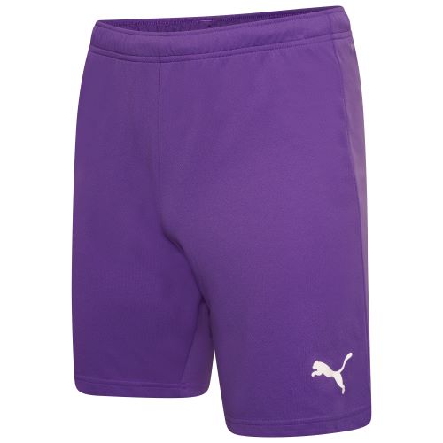 Puma teamRise Shorts Prism Violet