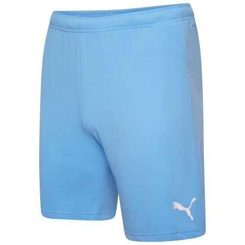 Puma teamRise Shorts Light Blue