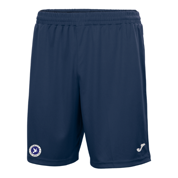 Royal British Legion Puma TeamRISE Shorts