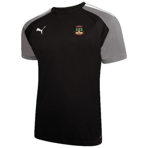 Newry Olympic HC Training Tee Mens