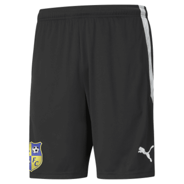 Wellington Rec Puma Team Liga 25 Training Shorts - Puma Black/White