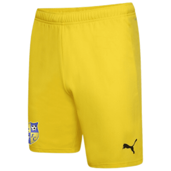 Wellington Rec  Puma Team Rise Shorts - Cyber Yellow